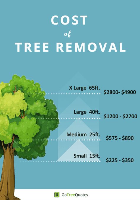 Arborist Climbing Trees, Tree Removal Cost, Arborist Climbing, Tree Arborist, Tree Removal Service, Tree Quotes, Tree Identification, Business Branding Inspiration, Tree Felling