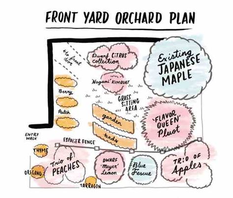 Fruit Orchard Design for Small Spaces – Mother Earth News Front Yard Orchard, Orchard Planning, Small Orchard, Design For Small Spaces, Front Yards Diy, Low Maintenance Landscaping Front Yard, Victory Gardens, Fruit Orchard, Orchard Design