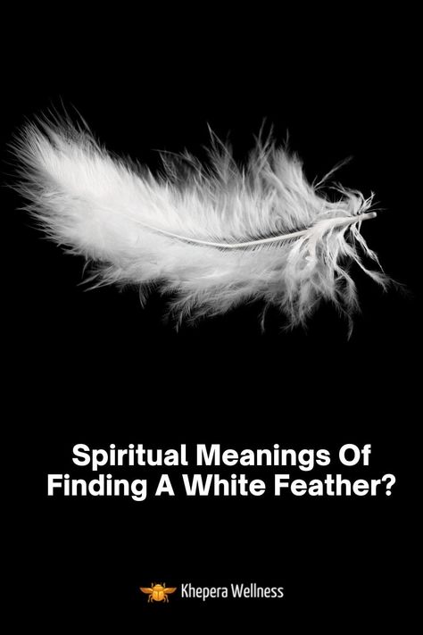 White Feather Meaning, White Feather Tattoos, Feather Quotes, Native American Beliefs, Finding Feathers, Feather Tattoo Meaning, Feather Symbolism, Feather Meaning, Feather With Birds Tattoo