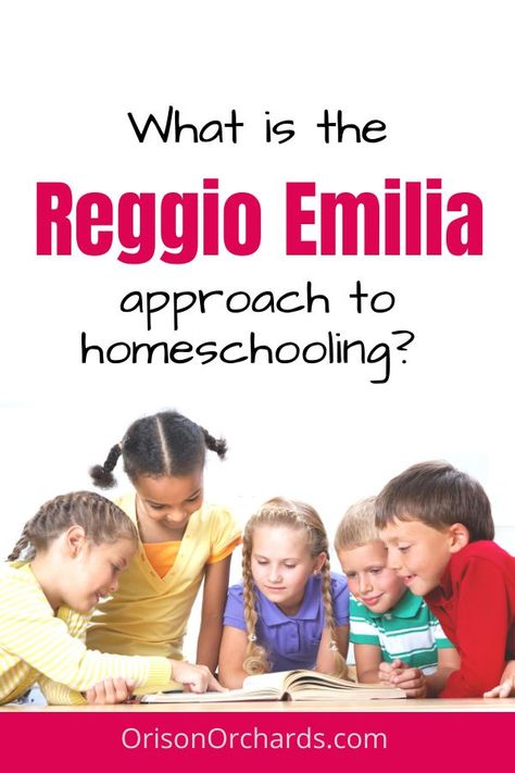 Teaching Styles, Reggio Emilia Classroom, Reggio Emilia Approach, Infant Lesson Plans, Reggio Inspired Classrooms, Reggio Emilia Inspired, Family Day Care, Early Years Educator, How To Start Homeschooling