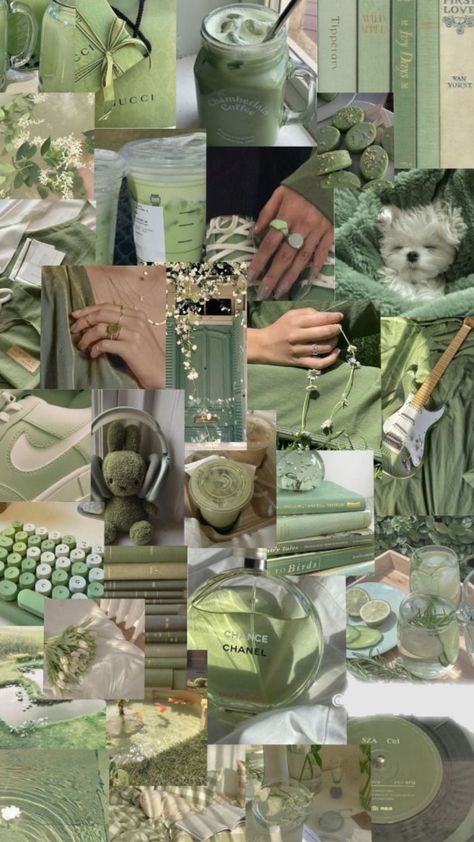 Mint Green Aesthetic Collage, Sage Aesthetic Pictures, Wallpapers Aesthetic Sage Green, Sage Green And Cream Aesthetic, August Wallpaper Aesthetic Iphone, Sage Green Asthetics Photos, Sage Green Things, Aesthetic Wallpaper Sage Green, Wallpaper Aesthetic Verde