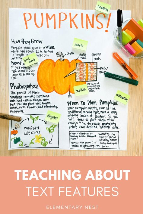 This blog post details lessons and ideas for teaching nonfiction text features, with activities that incorporate the fall season. Your elementary students will love these fall-themed reading passages and activities while they learn how to find text features in informational texts. Text Features Anchor Chart 2nd Grade, Fall Reading Activities, Nonfiction Text Features Activities, Teaching Nonfiction Text Features, Reading Activities For Kids, Text Feature Anchor Chart, Text Features Activities, Informational Text Features, Teaching Informational Text