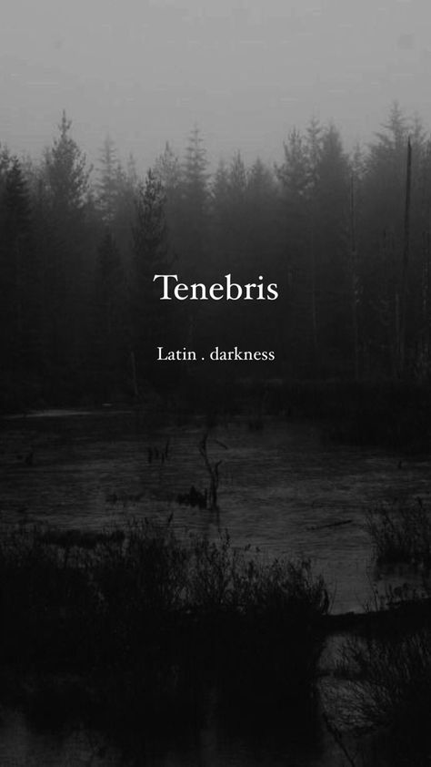 Dark Latin Words, Fantasy Words With Meaning, Fantasy City Names With Meaning, Dark Words Aesthetic, Words With Dark Meanings, Dark Words With Meaning, Names Meaning Darkness, Latin Last Names, Names Meaning Shadow