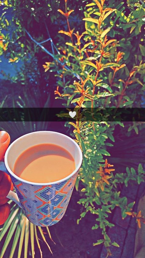 Morning Chai Snap, Flower Dpz For Whatsapp, Snap Food Home, Flower Dpz, Fake Photo Sick, Green Screen Images, Best Fb Profile Pic, Bullet Bike, Army Couple Pictures