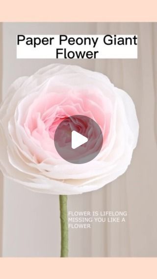 Rolled Fabric Flowers, Peony Diy, Peony Tutorial, Giant Paper Flower Tutorial, Crepe Paper Flowers Tutorial, Paper Peony, Rolled Paper Flowers, Paper Peonies, Fabric Flower Tutorial