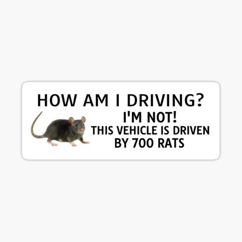 Humour, Weird Bumper Stickers, Stickers For Cars Ideas, Cursed Clothes, Bumper Stickers Aesthetic, Rats Funny, Funny Car Bumper Stickers, Cool Car Stickers, Car Deco