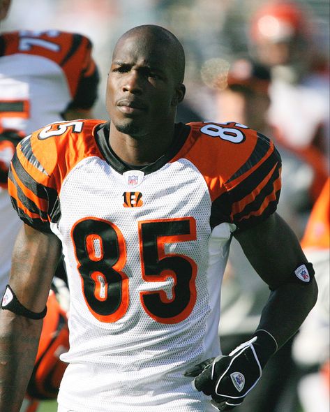 Cincinnati Bengals, Cleveland Browns, National Football League, Chad Ochocinco, Football Reference, Santa Monica College, Nfl Photos, Nfl Draft, Nfl Players