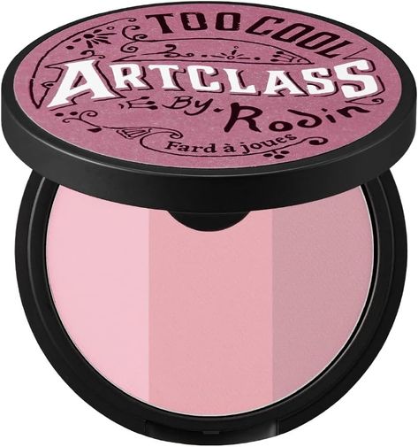 TOO COOL FOR SCHOOL Face Blush Powder for Natural Makeup (De Mauve, 30 g) : Amazon.ca: Beauty & Personal Care Cool Tone Blush, Korean Blush, Artclass By Rodin, Olive Skin Lipstick, Indian Skin Makeup, Mac Lipstick Swatches, Drugstore Lips, Budget Makeup, Lipstick For Dark Skin