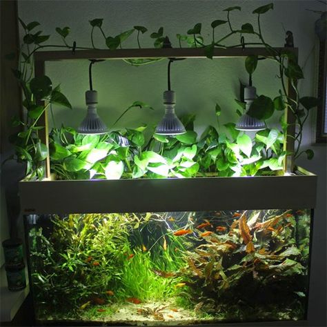 Fish Tank Terrarium, Cool Fish Tanks, Aquarium Led, Aquarium Light, Fish Tank Lights, Led Lighting Diy, Aquarium Terrarium, Led Aquarium, Led Aquarium Lighting