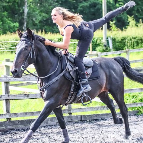 7 Unusual Equestrian Sports You've Never Seen Before - Seriously Equestrian 2023 Word, Horse Archery, Horse Vaulting, Bay Horses, Trick Riding, Horses Equestrian, Horse Fashion, Rodeo Life, Roman Style