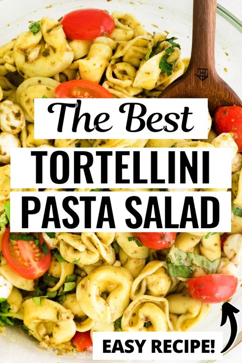 Cheese Tortellini Pesto Pasta Salad, Recipe For Tortellini Salad, Tortilini Salad Italian, Tortellini Pasta Salad With Olive Garden Dressing, Simple Tortellini Pasta Salad, Easy Tortellini Salad, Tri Color Tortellini Pasta Salad, Tortelinni Pasta Salad, Totillinie Pasta Salad