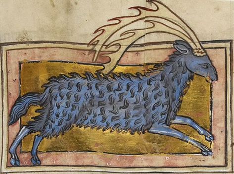 Ten Strange Medieval Animals You Might Not Have Heard Of - Medievalists.net Medieval Creatures, Medieval Illustration, Medieval Marginalia, Medieval Animals, Medieval Bestiary, Medieval Drawings, Medieval Artwork, Illustrated Manuscript, Strange Animals