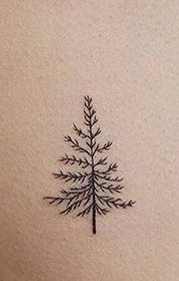 Evergreen Tattoos For Women, Fine Line Evergreen Tattoo, Pine Tree Line Tattoo, Dainty Tats, Evergreen Tattoo, Tree Line Tattoo, Small Nature Tattoo, Sister Tats, Evergreen Tree Tattoo