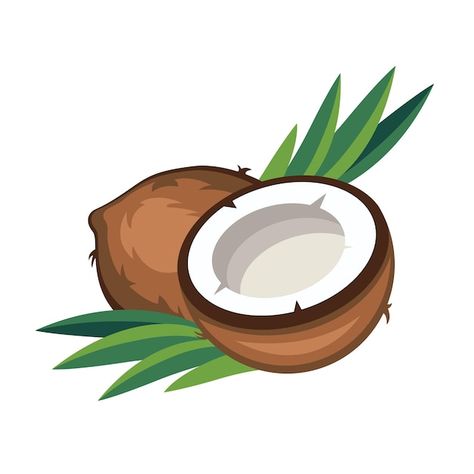 Coconut Images, Chocolate Coconut Slice, Coconut Vector, Coconut Slice, Gcse Art Sketchbook, Hat Vector, Dry Coconut, Pop Posters, Fruit Illustration