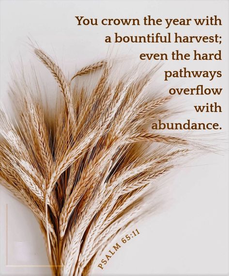 wiirocku: “Psalm 65:11 (NLT) - You crown the year with a bountiful harvest; even the hard pathways overflow with abundance. ” Harvest Quotes, Psalm 65 11, Harvest Bible, Psalm 65, Bible Psalms, Feast Of Tabernacles, Scripture Wallpaper, Gospel Quotes, Bountiful Harvest