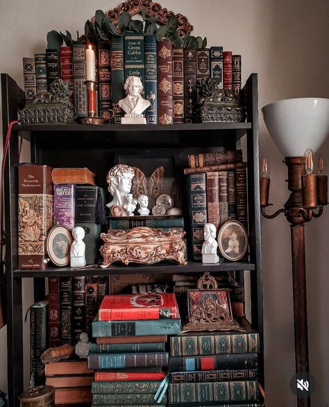 Old Book Shelf Aesthetic, Dark Academia Shelves, Witch Bookshelf, Appartment Decor Ideas, Bookish Home, Dark Academia Interior, Bookcase Ideas, Drawing Room Design, Bookshelf Inspiration