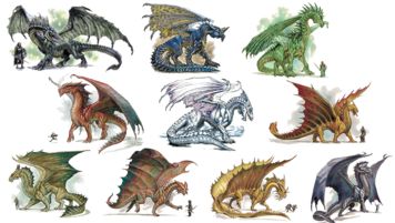 TestingTransparency Chromatic Dragon, Dragon World, Types Of Dragons, Dragon Designs, Dragon Book, Creature Fantasy, Copper Dragon, Here There Be Dragons, Dragon Stuff