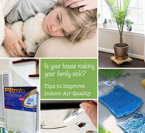 Have you ever asked yourself if those persistent cold and allergy symptoms could be caused by your house? Learn how to improve your indoor air quality! Dryer Hose, Dryer Duct, Cleaning Games, Improve Indoor Air Quality, Fire Hazard, Household Tips, Green Life, Indoor Air Quality, Diy For Girls