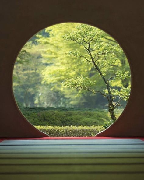 Meigetsu-in, a Rinzai school Zen temple in Kanagawa prefecture. Tumblr, Zen Temple, Zen Tea, Kanagawa Prefecture, Japan Photo, Japanese Garden, Design Inspo, Japanese Traditional, Interior Architecture