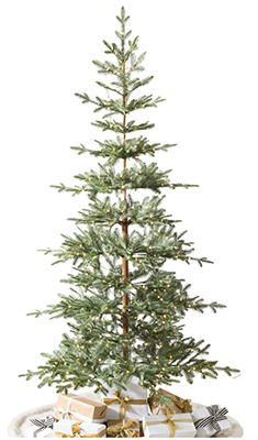 Alpine Fir Christmas Tree, Alpine Tree Decor Ideas, Alpine Christmas Tree, Alpine Christmas, Balsam Tree, Alpine Tree, Ideas Navidad, Fir Christmas Tree, Live Tree