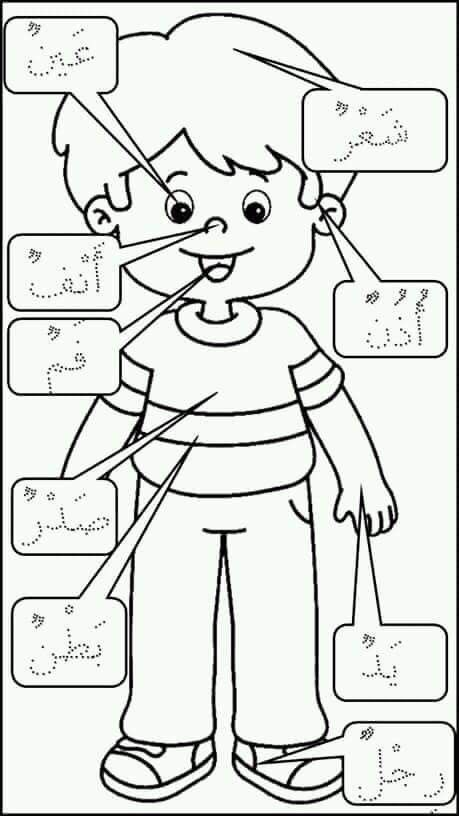 Anggota badan Arabic Handwriting, Body Parts Preschool, Muslim Kids Activities, Arabic Alphabet Letters, Islamic Kids Activities, Learn Arabic Online, Arabic Worksheets, Teach Arabic, Learn Arabic Alphabet