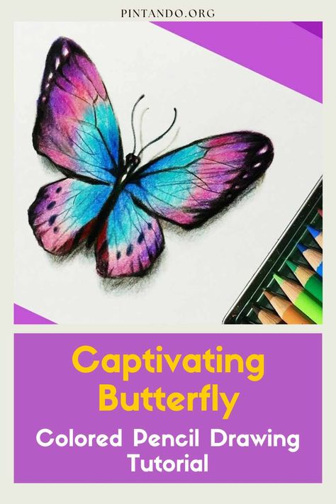 Discover the enchanting world of butterfly drawing with our step-by-step tutorial using colored pencils. Unlock the secrets to creating a vibrant and lifelike butterfly artwork. Perfect for beginners and experienced artists alike. Join us on this artistic journey and unleash your creativity! Pencil Art For Beginners, Pencil Drawing Tutorial, Colored Pencil Drawing Tutorial, Using Colored Pencils, Most Beautiful Butterfly, Butterfly Tutorial, Pencil Drawings For Beginners, Butterfly Artwork, Pencil Drawing Tutorials