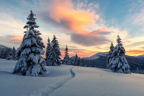 Dramatic wintry scene with snowy trees. by ivankmit. Fantastic orange winter landscape in snowy mountains glowing by sunlight. Dramatic wintry scene with snowy trees. Chr... #Sponsored #trees, #ivankmit, #Fantastic, #snowy Snow On The Mountain, Winter Landscape Photography, Mountains Aesthetic, Christmas Landscape, Snowy Trees, Mountain Wallpaper, Winter Sky, Winter Nature, Mountain Photography