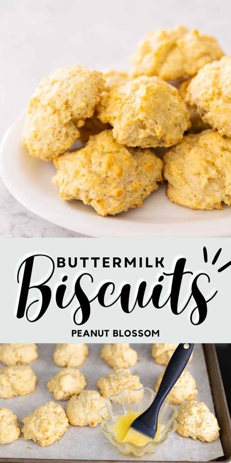 Easy Buttermilk Drop Biscuits {4 Flavor Variations} Drop Biscuits Easy, Butter Biscuit Recipe, Dinner Biscuit, Buttermilk Drop Biscuits, Christmas Breads, Honey Butter Biscuits, Butter Biscuit, Drop Biscuits Recipe, Peanut Blossoms