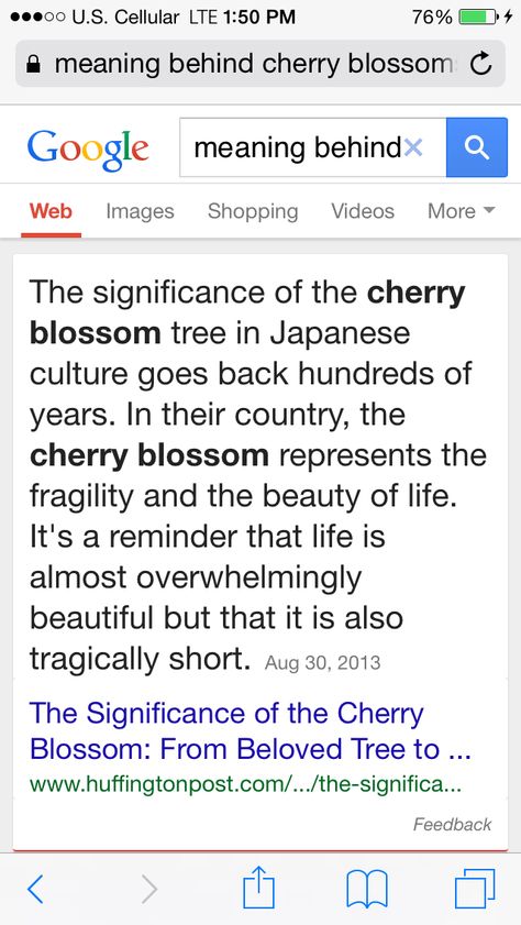 What Do Cherry Blossoms Symbolize, Cherry Blossom Tree Meaning, Meaning Of Cherry Blossom, Cherry Blossom Spiritual Meaning, Cherry Blossom Meaning Tattoo, Meaning Of Cherry Blossom Tattoo, Sakura Flower Meaning, Cherry Symbolism, Cherry Tattoo Meaning