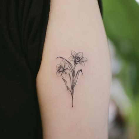 December birth flower - Narcissus. For grandma | Narcissus ... #tattoosforwomen #tattooideas Tattoos, Flowers, Flower Narcissus, December Birth Flower, Birth Flower, Birth Flowers, Lotus Flower Tattoo, Flower Tattoo, On Instagram