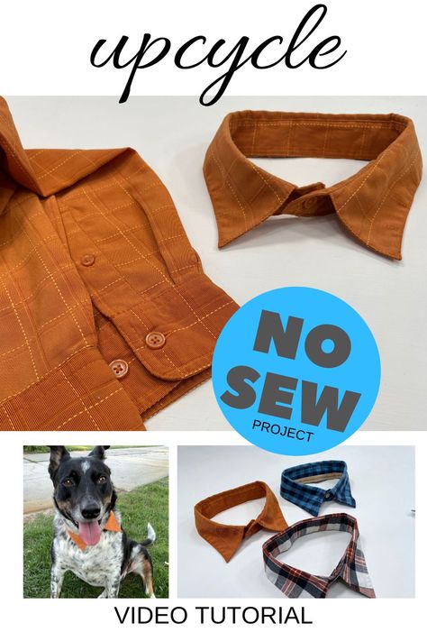 Diy dog dress shirt collar - NO SEW Tshirt To Dog Shirt Diy, Dog Dress Shirt Collar Pattern, Diy Dog Dress No Sew, Clothes For Dogs Diy, Diy Dog Vest, Diy Dog Shirt From Tshirt No Sew, Dog Clothing Diy, Dog Shirts For Dogs, Dog Shirt Diy