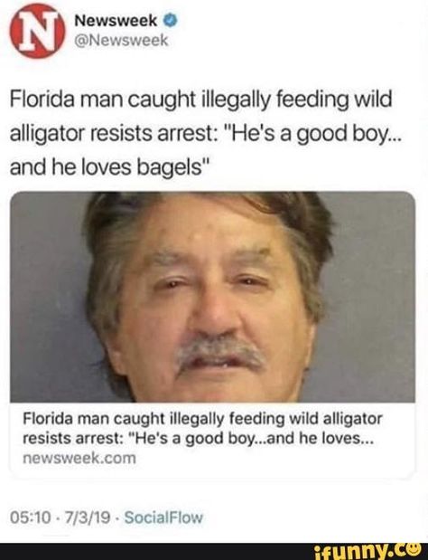 Funny Florida Man, Florida Man Funny, Florida Man Meme, Florida People, Florida Men, Florida Funny, Funny Headlines, Florida Man, Oui Oui