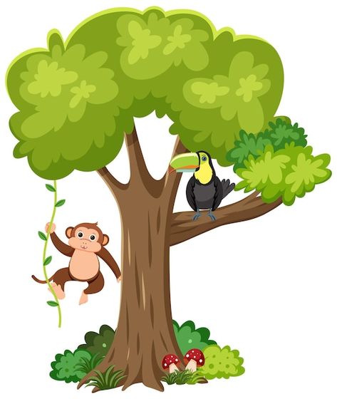 Tree Cartoon Images, Monkey On Tree, Safari Monkey, Tree Monkey, Monkey Cartoon, Monkey Drawing, Trees For Kids, Monkey Stickers, Toucan Bird