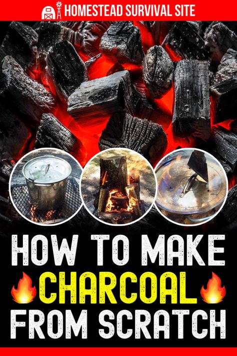 You can easily make charcoal if you live in a neighborhood that will tolerate a smoky fire that burns for a while. Canning Recipes For Beginners, Beginner Canning, Easy Canning Recipes, Diy Charcoal, Easy Canning, Bushcraft Shelter, Wholesome Meals, Survival Skills Life Hacks, Homesteading Skills