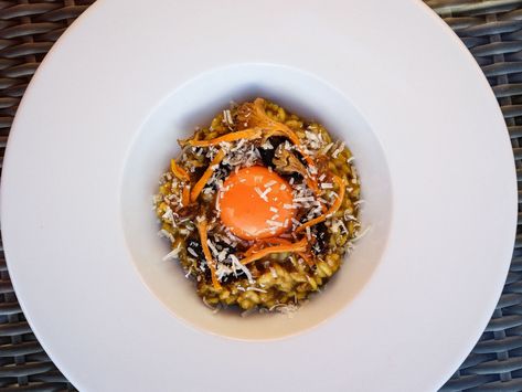 Confit Egg Yolk, Smoked Eggs, Risotto Milanese, Risotto Rice, Porcini Mushrooms, Black Truffle, Fine Dining Recipes, Truffle Recipe, Food Projects