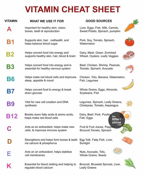 Vitamin Cheat Sheet, Vitamin B3 Niacin, Fatty Fish, Red Blood Cells, Essential Vitamins, Health Knowledge, Vitamin K, Blood Cells, Folic Acid