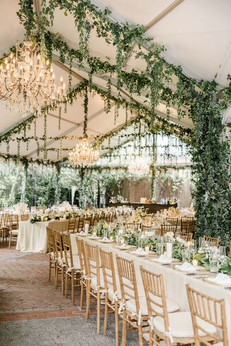 Wedding Green Table Decor, Light And Dark Green Wedding, Sage Garden Wedding, Olive White Wedding, Wedding Green And Champagne, Mountain Wedding Table Settings, Sage Wedding Aesthetic, Modern Woodsy Wedding, Green House Wedding Receptions