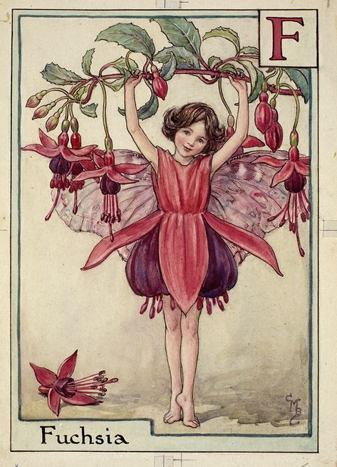 The Fuchsia Fairy © The Estate of Cicely Barker Fairy Paintings, Fairy Illustration, Fairy Artwork, Cicely Mary Barker, Vintage Fairies, Fairy Magic, Flower Fairies, Fairytale Art, Flower Fairy