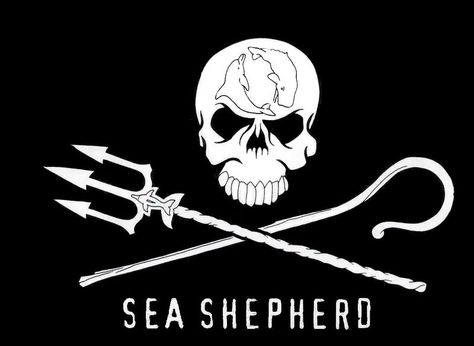 Sea Shepherd Sea Shepard, Gregor Samsa, Sea Shepherd, Save The Whales, Steve Irwin, Save Our Oceans, Southern Ocean, Marine Conservation, Oceans Of The World