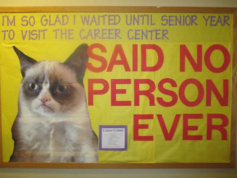 career services bulletin boards | Grumpy Cat-themed Career Center board! School Counselor Bulletin Boards, Counselor Bulletin Boards, College Advising, College Advisor, School Library Bulletin Boards, College Bulletin Boards, College Counseling, High School Counselor, Guidance Counseling