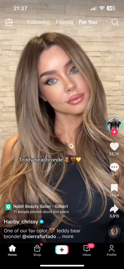 Taupe Hair Color Blonde, Ashy Toner For Brown Hair, Teddy Bronde Balayage, Teddy Bear Balayage, Rich Bronde Haircolor, Teddy Bear Bronde Balayage, Teddy Bear Brunette, Teddy Bear Bronde Hair, Teddy Hair Color