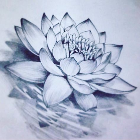 Lotus flower Tato Mandala, Wildflowers Tattoo, Lotusblume Tattoo, Lotus Flower Drawing, Water Lily Tattoos, Lotus Drawing, Realistisches Tattoo, Lily Tattoo Design, Shape Tattoo