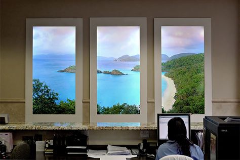 Being trapped in a windowless room doesn't mean you have nothing to see. Virtual windows can give the illusion of an exterior wall, and they can provide therapeutic benefits. Virtual Skylight, Tropical Sunroom, Windowless Office, Virtual Window, Ceiling Chair, Skylight Installation, Hotel Window, Sky Ceiling, Window Mural