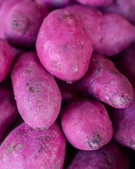 Purple Yam, known locally as Ube, for sale a public market in Tagaytay. Ube Potato, Ube Ice Cream, Ube Recipes, Butter Mochi, Salmon Potato, Purple Yam, Lasagna Pasta, Lunch Appetizers, Root Vegetable