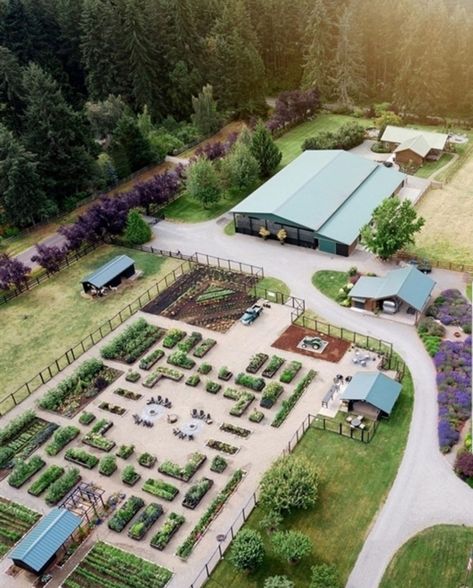 Homestead Layout, Bocce Ball Court, Farm Plans, Bocce Ball, Homestead Farm, Farm Layout, Future Farms, Guest Houses, Market Garden