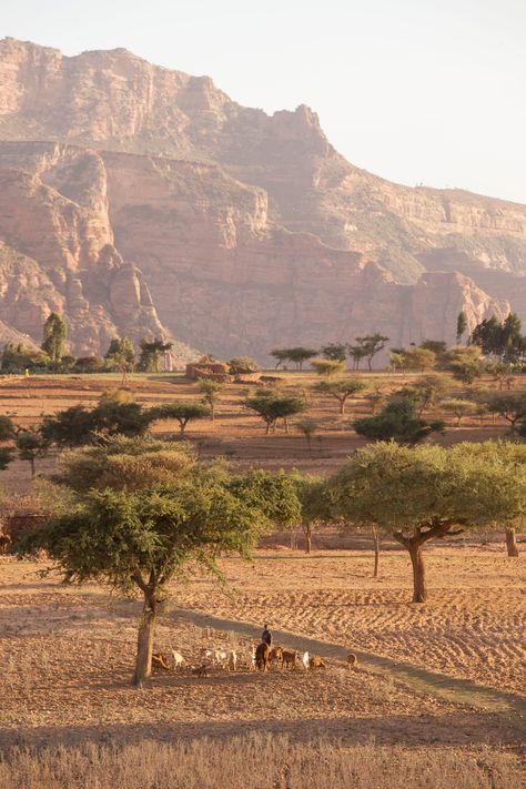 An afternoon scene near the town of Megab in the Tigray region, Ethiopia. Photo by Philip Lee Harvey. #tigray #ethiopia Ethiopia Travel, Continents And Countries, Pictures Of Beautiful Places, Spiritual Retreat, Out Of Africa, Africa Travel, Environmental Art, Travel Inspo, Pretty Places