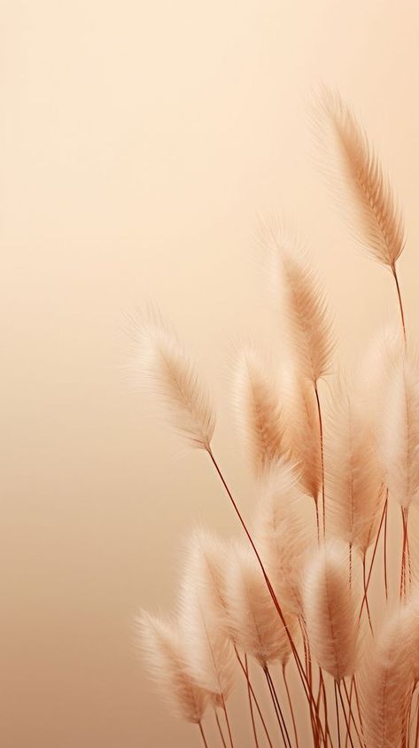 Dried bunny tail grass backgrounds plant tranquility. AI generated Image by rawpixel. | free image by rawpixel.com / Sasi Fall Bunny Wallpaper, Pampas Grass Iphone Wallpaper, Iphone Beige Wallpaper, Grass Iphone Wallpaper, Wheat Background Wallpapers, White Bunny Tails, Rabbit Background Wallpapers, Iphone Wallpaper Pink, Waves Wallpaper Iphone