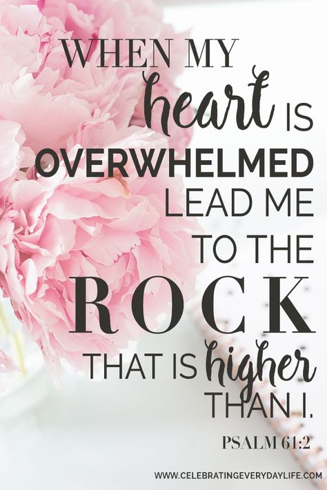 When My Heart Is Overwhelmed Lead Me To The Rock That Is Higher Than I scripture | Celebrating Everyday Life with Jennifer Carroll | www.CelebratingEverydayLife.com Psalm 61, Ayat Alkitab, Prayer Scriptures, Inspirational Bible Quotes, Bible Verses Quotes Inspirational, Biblical Quotes, Inspirational Bible Verses, Favorite Bible Verses, Bible Encouragement