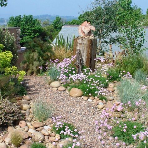 Pebble Garden, Gravel Landscaping, Seaside Garden, Dry Garden, Gravel Garden, Coastal Gardens, Rock Garden Landscaping, Mediterranean Garden, Decor Pillows