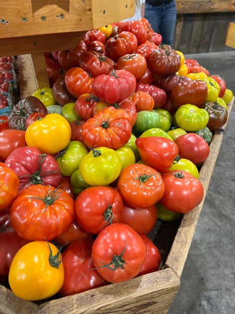 heirloom tomatoes in the summer are the best Heirloom Tomatoes Recipes, Tomatoes Aesthetic, Tomato Aesthetic, Atkins Diet Plan, Tomato Girl, Summer Tomato, Heirloom Tomato, Heirloom Tomatoes, Fruit And Veg